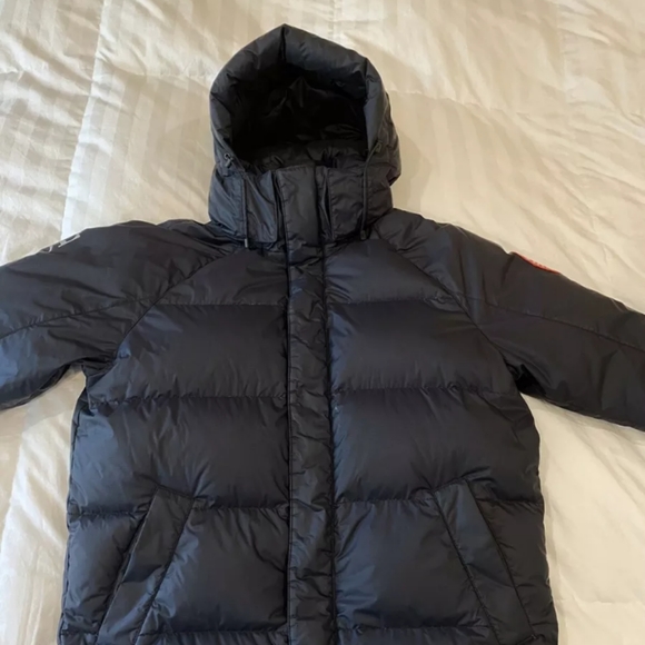 Canada goose - Picture 4 of 8